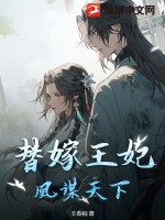 小說替嫁王妃