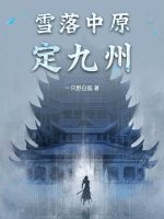 雪落中原小說