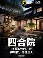 四合院廚神小說