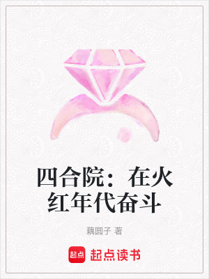 四合院火紅年代小說