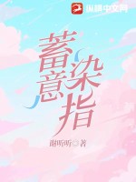 蓄意染指小說