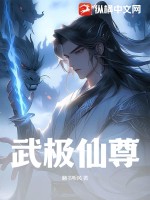 武極仙尊3魔方大陸