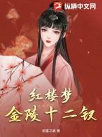 紅樓夢金陵十二釵正冊副冊