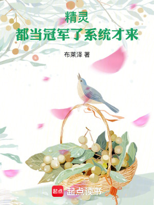 精靈冠軍系統 小說