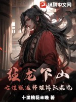 有一部小說叫什麼狂龍