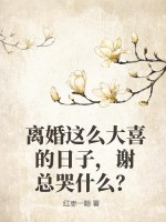 離婚了謝謝 小說