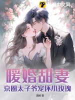 暖婚甜妻高冷男神強勢寵小說