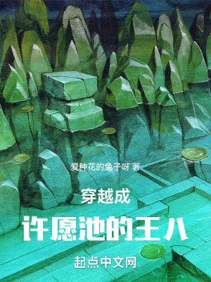 穿越成許願池的王八小說